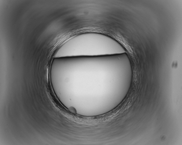 X0000101140014200806270747