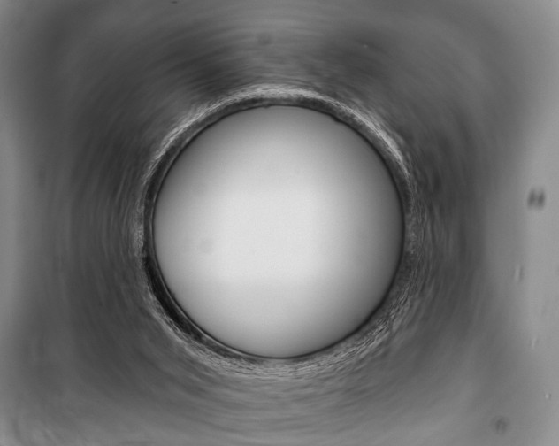 X0000101140015200806270747