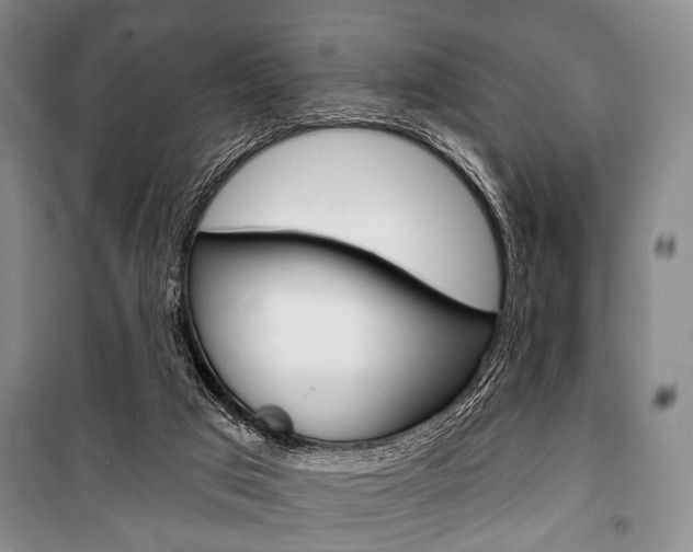 X0000101140017200806270747