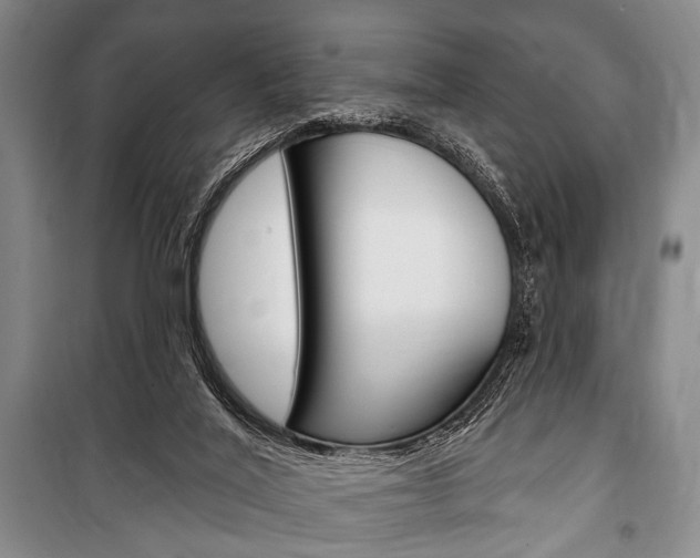 X0000101140020200806270747