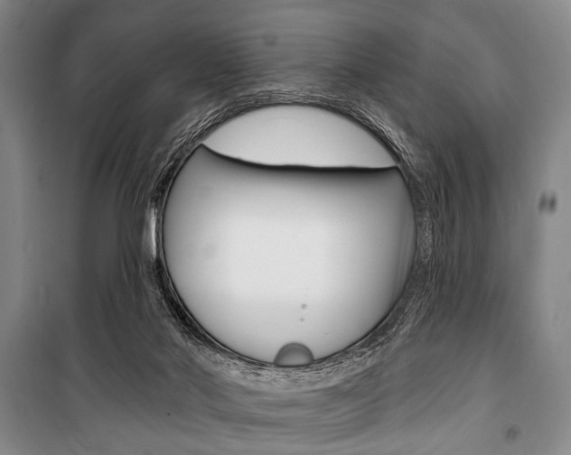 X0000101140022200806270747