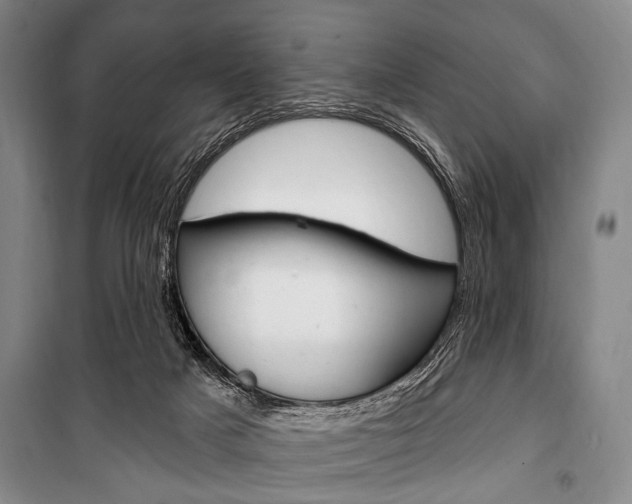 X0000101140025200806270746