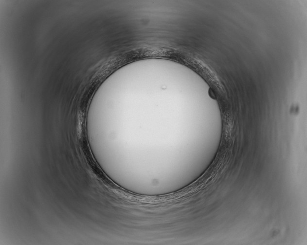 X0000101140026200806270746