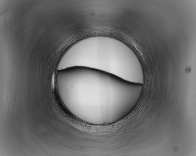 X0000101140027200806270746