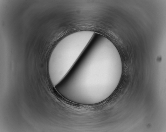 X0000101140028200806270746