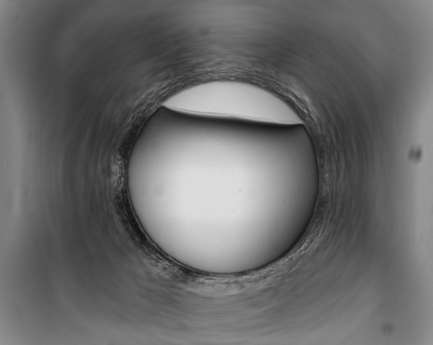 X0000101140029200806270746