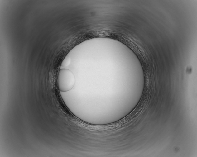 X0000101140030200806270746