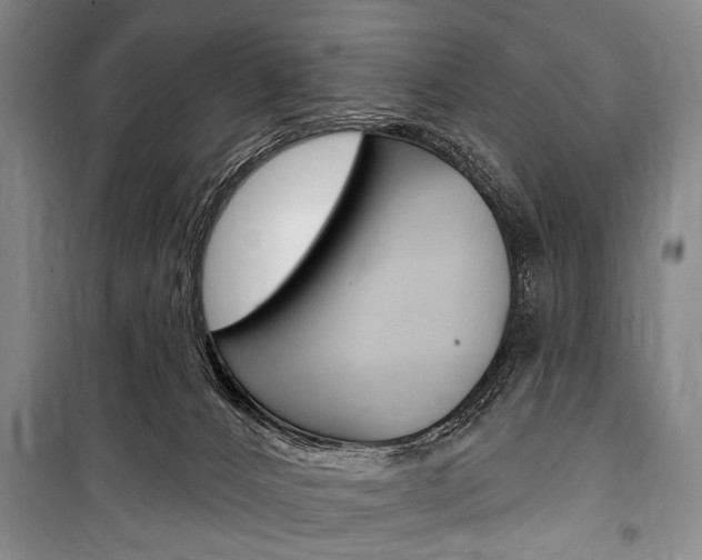 X0000101140032200806270746