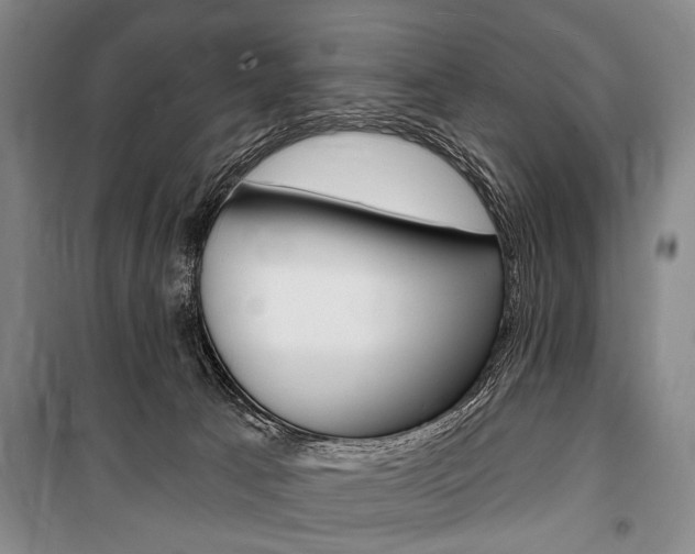 X0000101140033200806270746