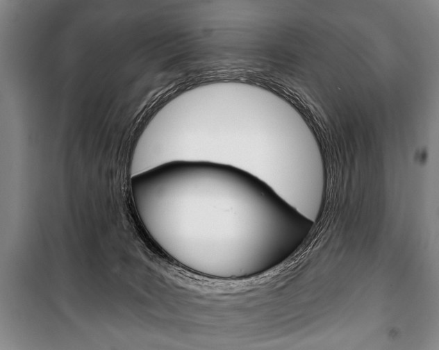 X0000101140035200806270746