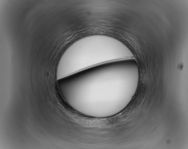 X0000101140036200806270746