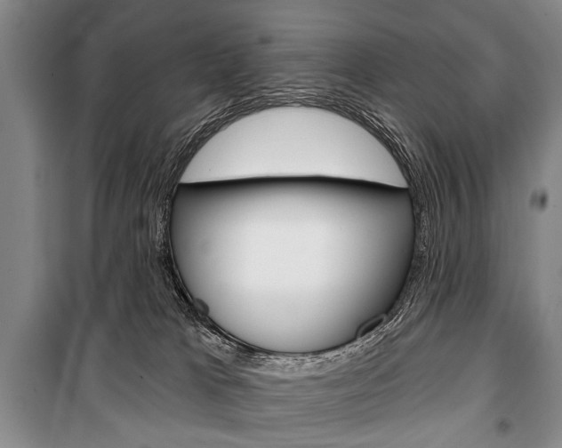 X0000101140037200806270746