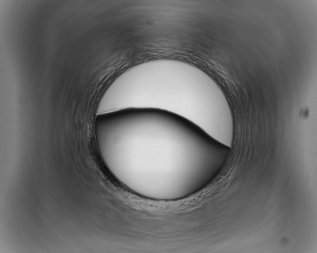 X0000101140039200806270746