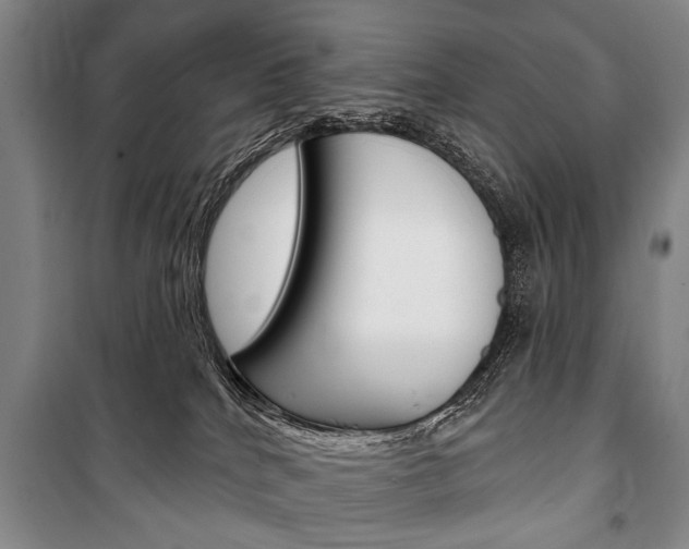 X0000101140040200806270746