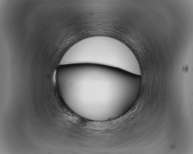 X0000101140041200806270746