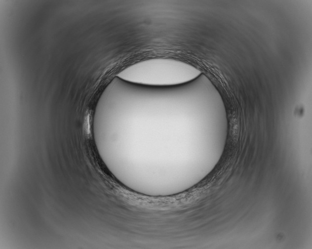 X0000101140042200806270746