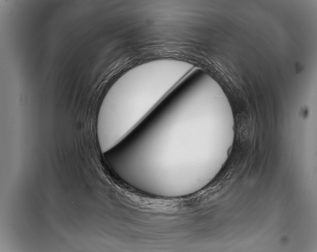 X0000101140044200806270746