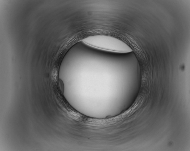 X0000101140045200806270746