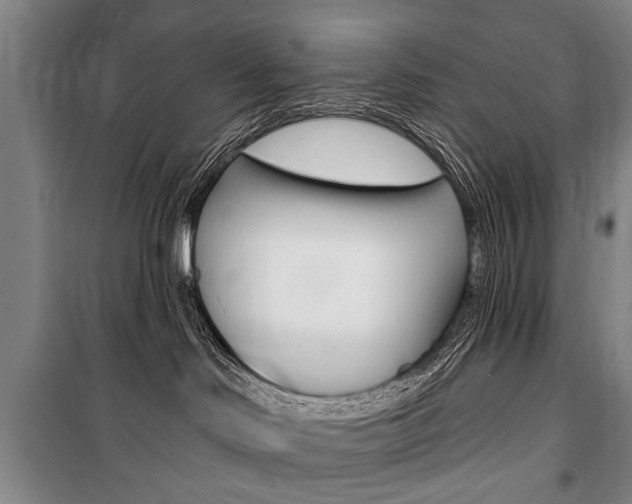 X0000101140046200806270746