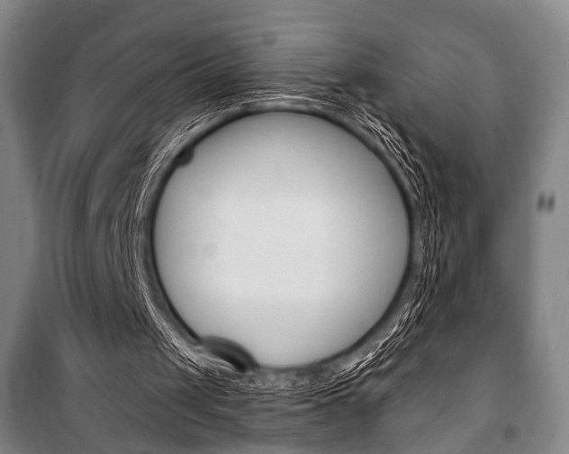 X0000101140049200806270745