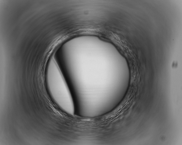 X0000101140050200806270746