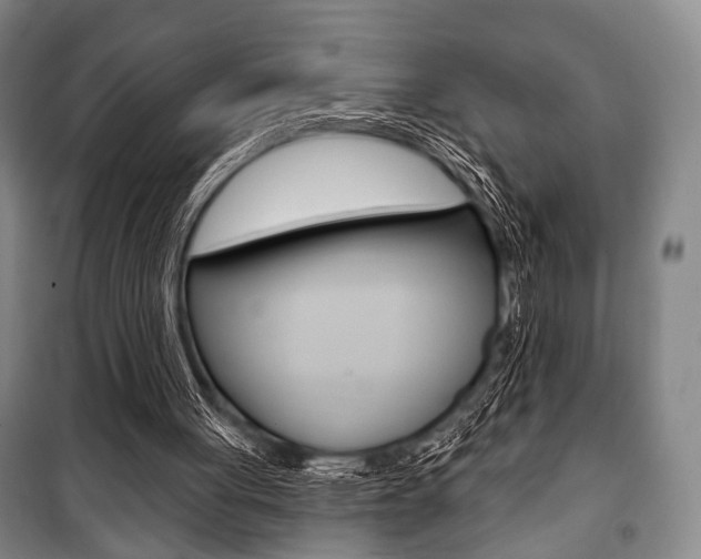 X0000101140051200806270746