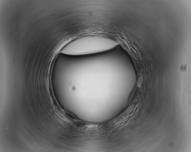 X0000101140052200806270746