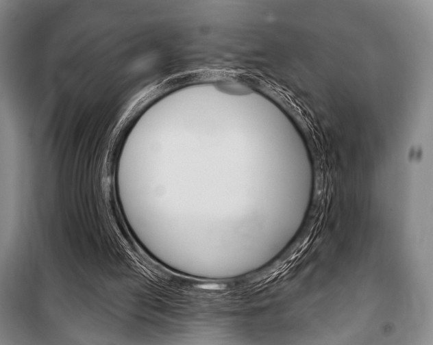 X0000101140053200806270746