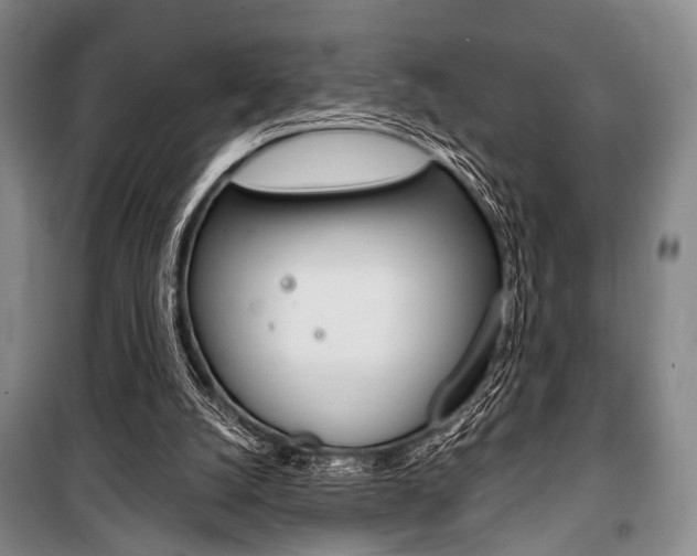 X0000101140056200806270746