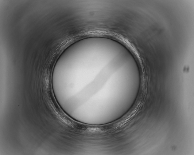 X0000101140057200806270746