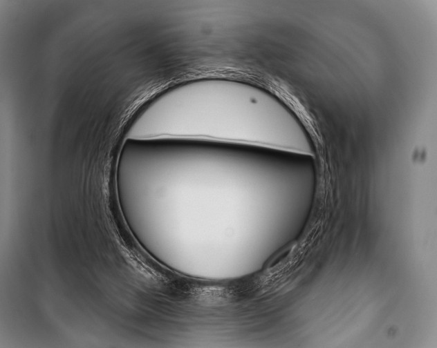 X0000101140058200806270746