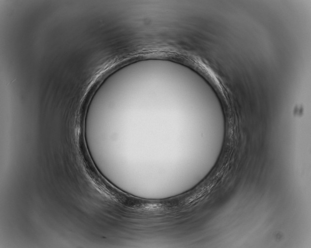 X0000101140059200806270746