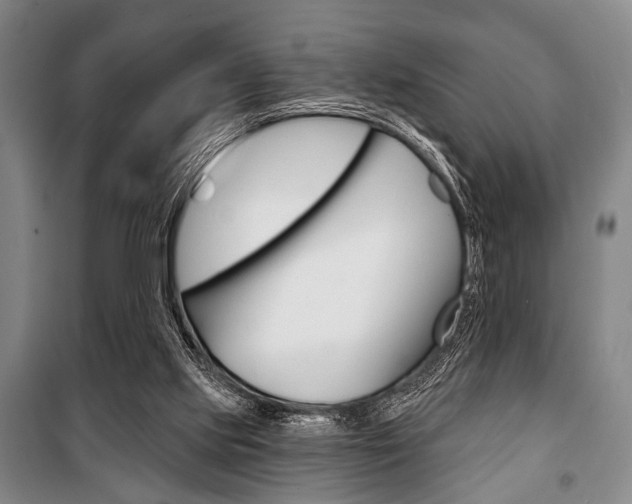 X0000101140061200806270746