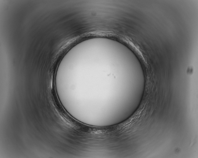 X0000101140062200806270746