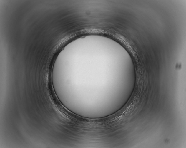 X0000101140063200806270746