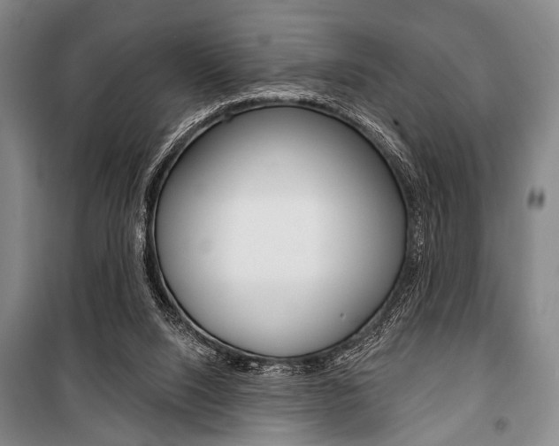 X0000101140064200806270746