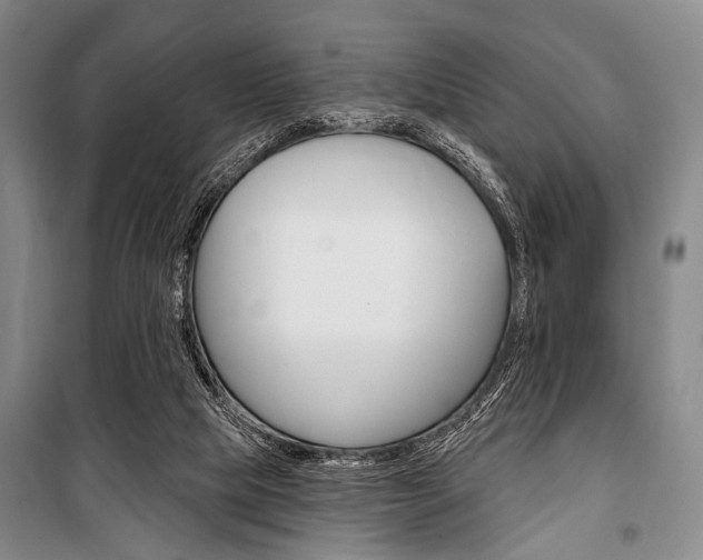 X0000101140065200806270746