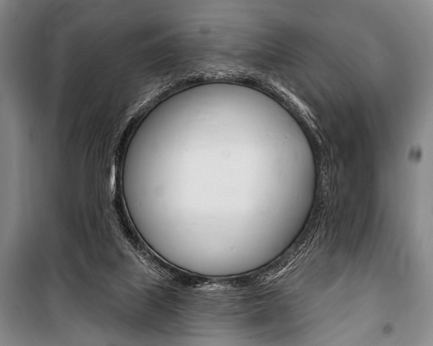 X0000101140067200806270746