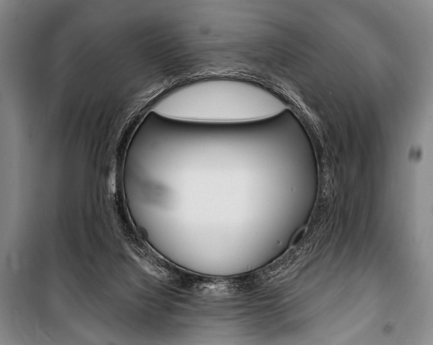 X0000101140068200806270746