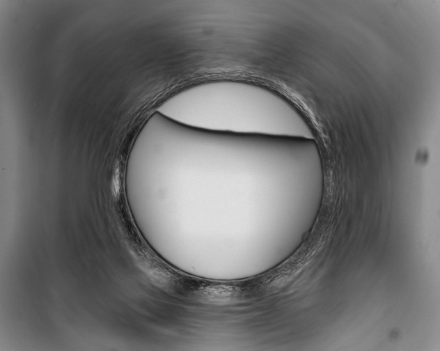 X0000101140069200806270746