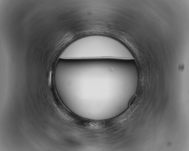 X0000101140070200806270746