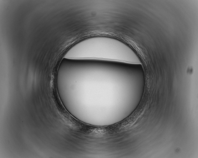 X0000101140071200806270746