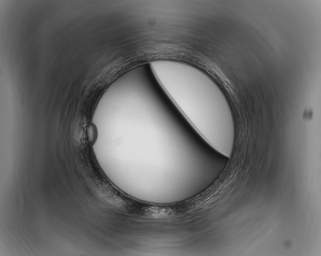 X0000101140073200806270746