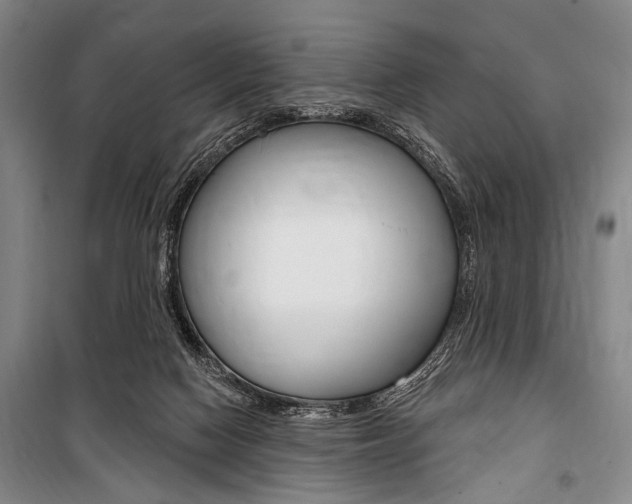 X0000101140074200806270746