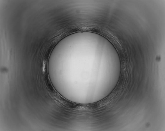 X0000101140075200806270746