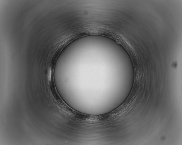 X0000101140076200806270746