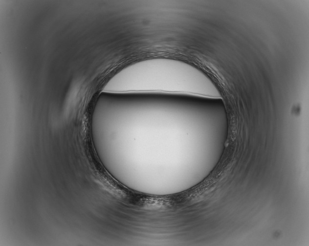 X0000101140077200806270746