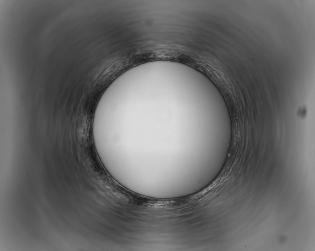 X0000101140078200806270746