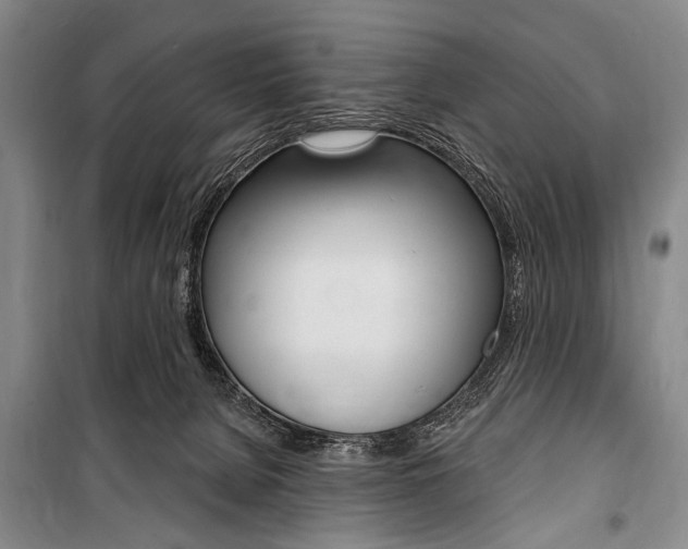 X0000101140080200806270746