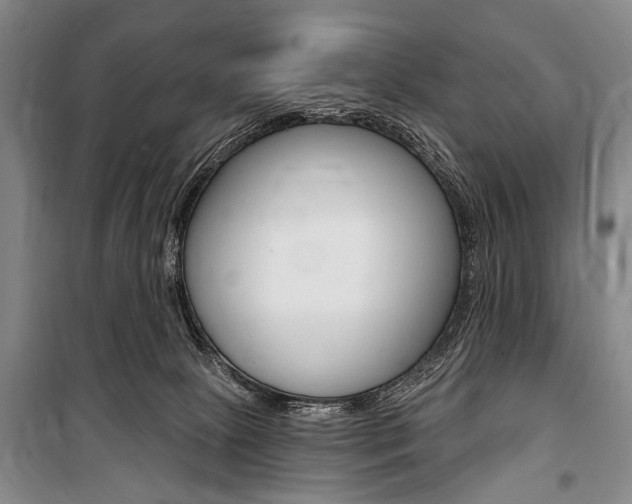 X0000101140081200806270746